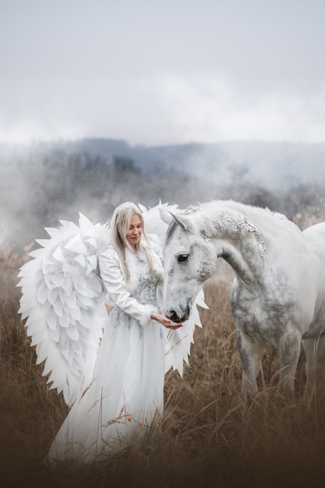 Angels (3)