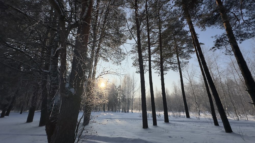 Зимний пейзаж (2)