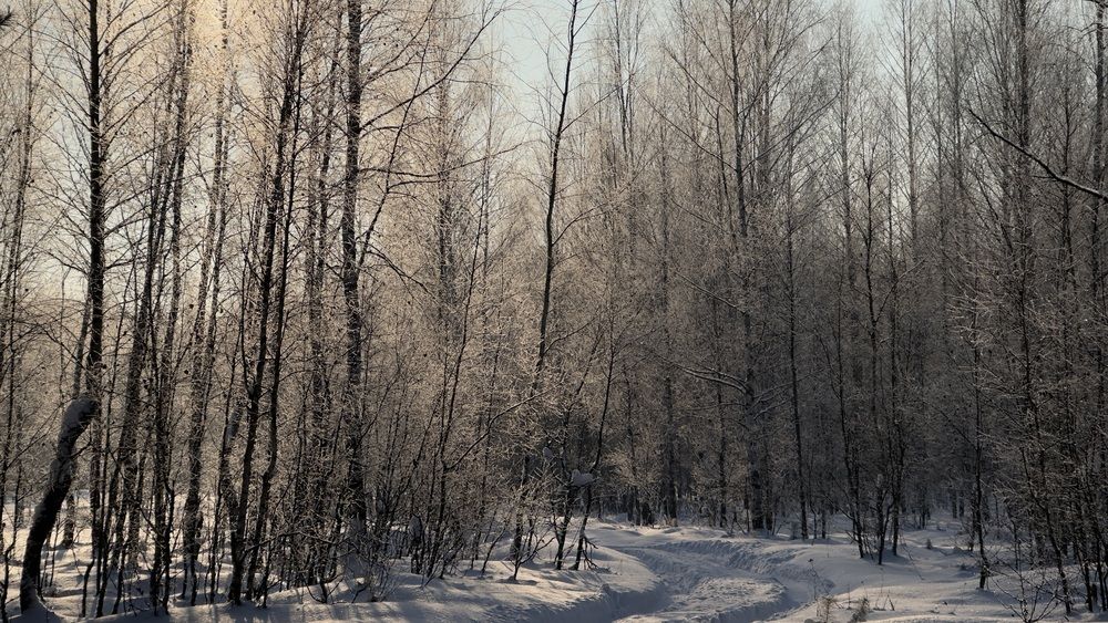 Зимний пейзаж (4)