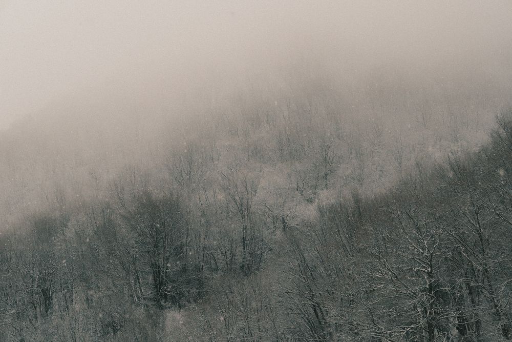Rawness (3)