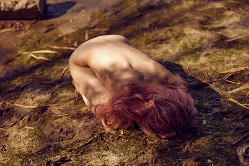 Photo #13097463 (6)