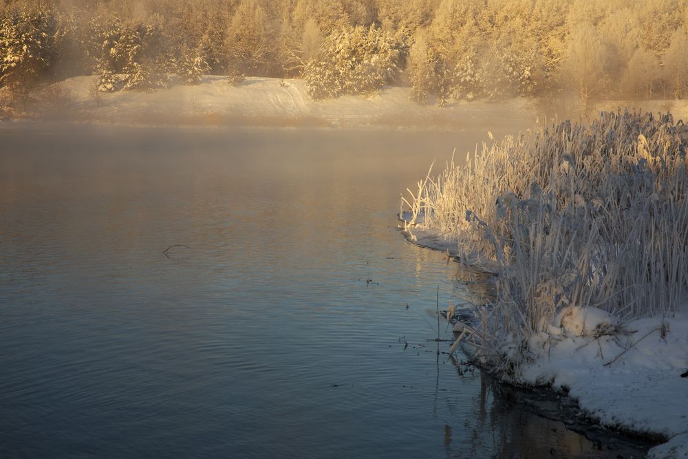 Photo #13117810 (9)