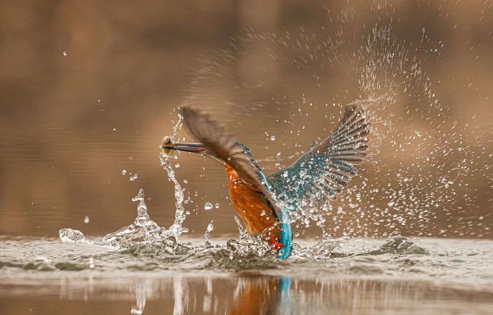 Azure Lift-off: The Power of Flight (3)