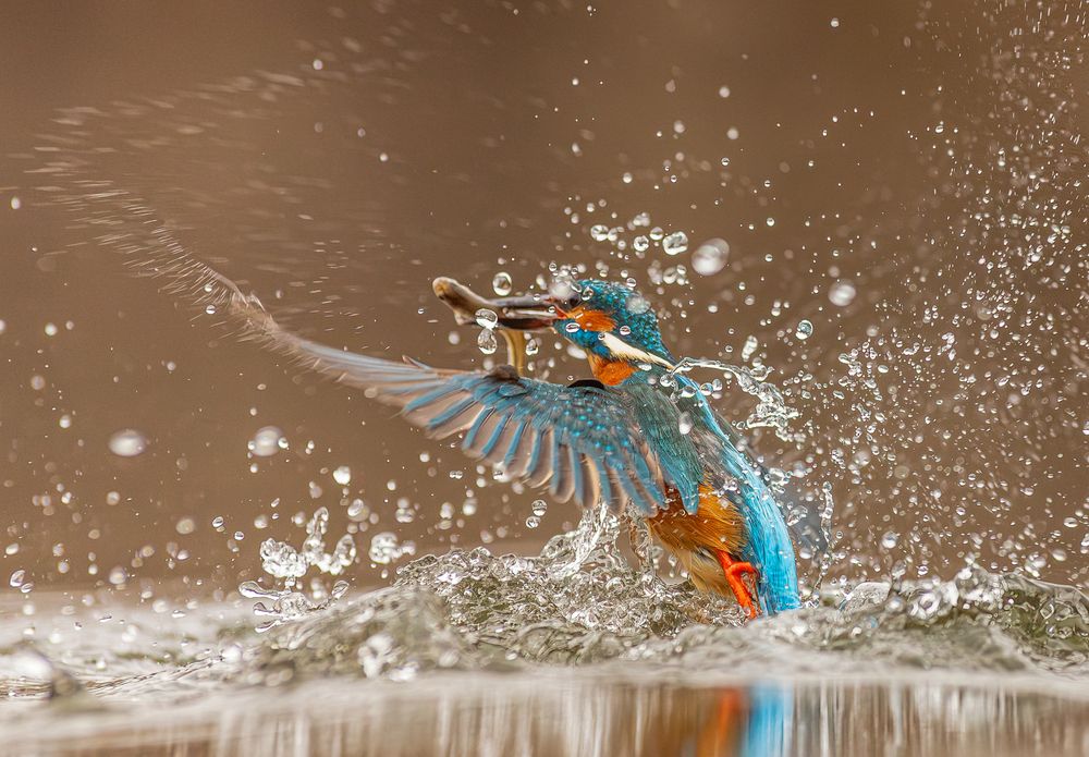 Azure Lift-off: The Power of Flight (4)
