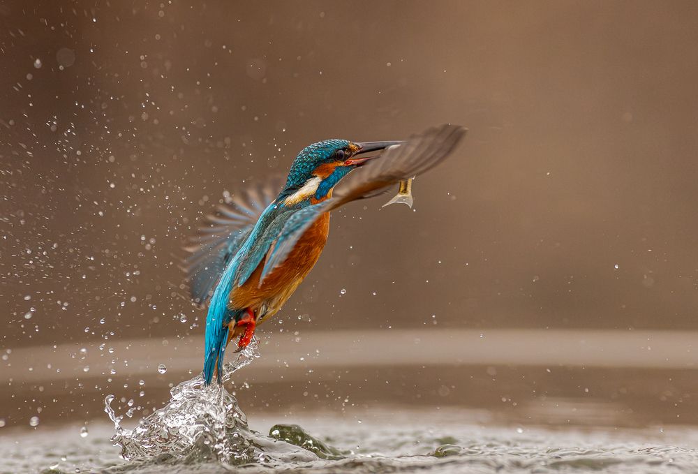 Azure Lift-off: The Power of Flight (6)