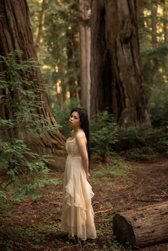 Photo #13144006 (3)