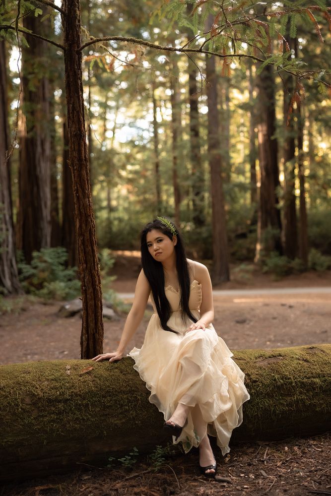 Photo #13144006 (5)