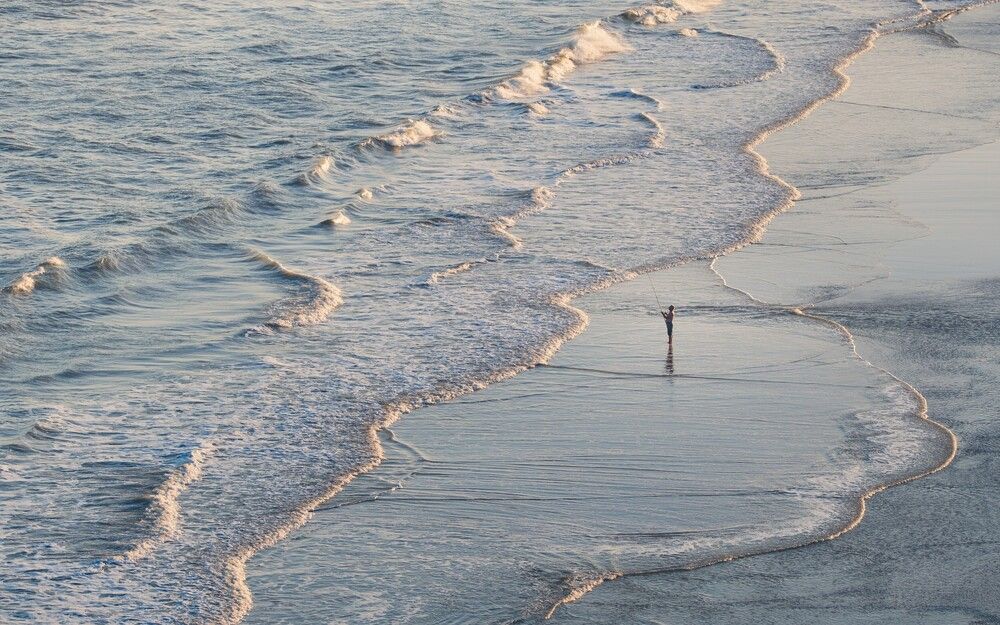 Solitude (8)
