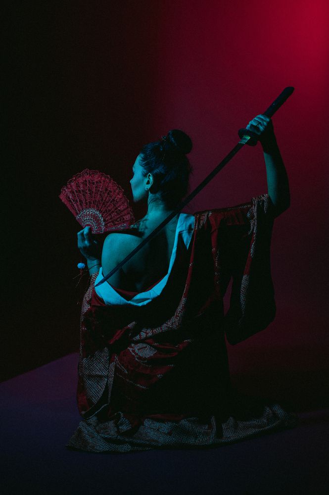 Geisha (4)