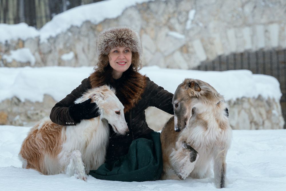Photo #13164437 (4)