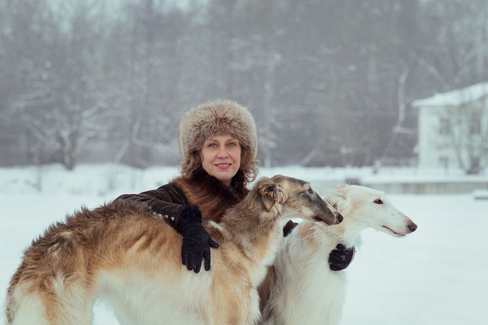 Photo #13164437 (2)