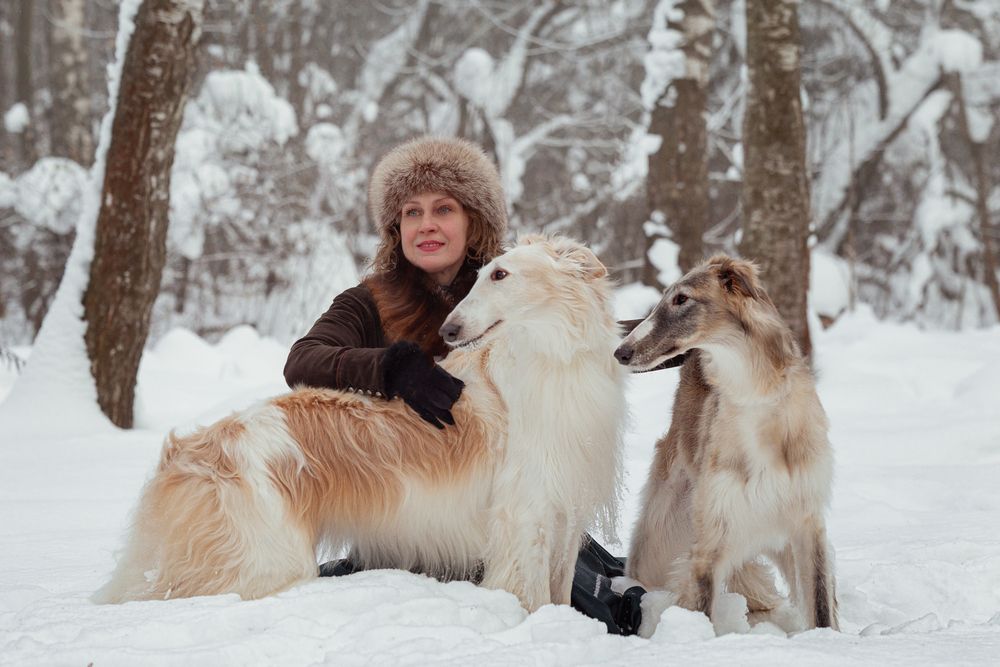 Photo #13164437 (6)