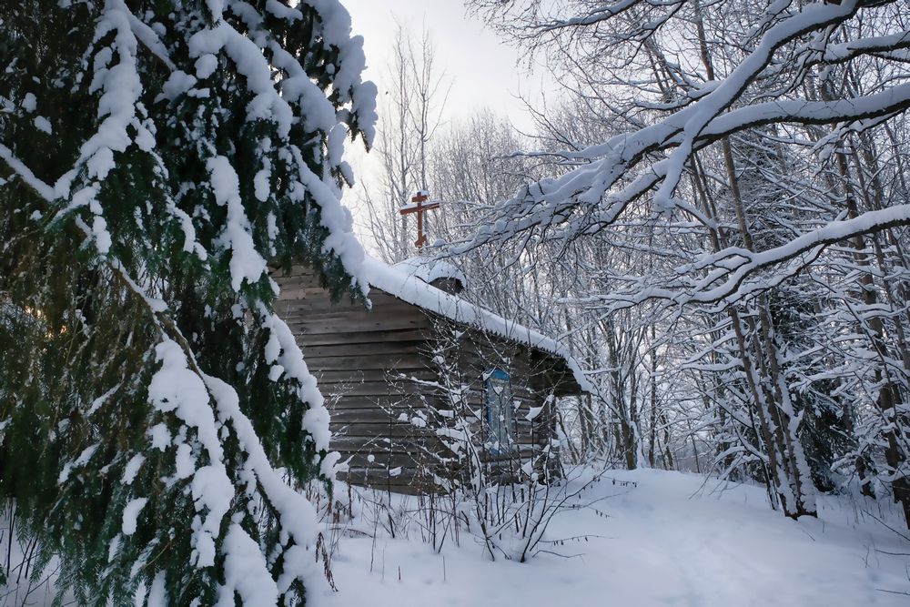 Край вепсов (10)