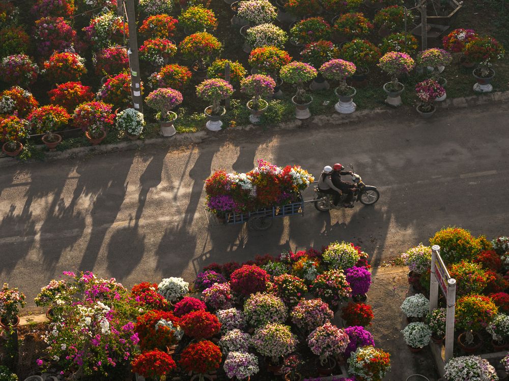 Spring on Ben Tre (11)