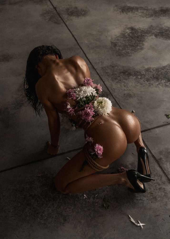 Flowers (4)