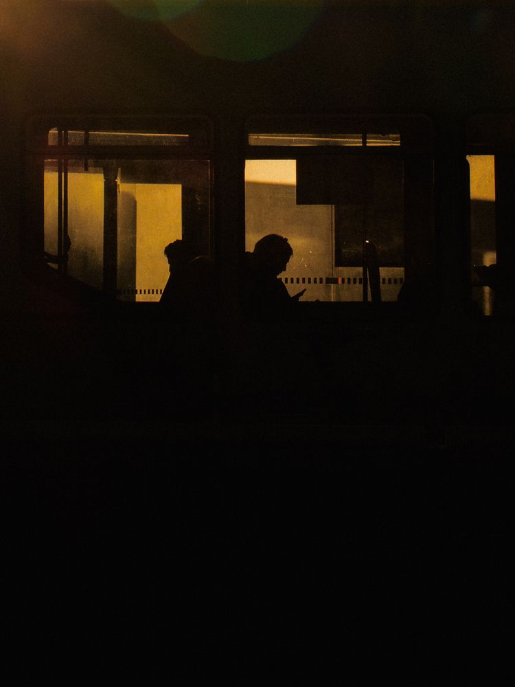 Suncut Shadows (2)