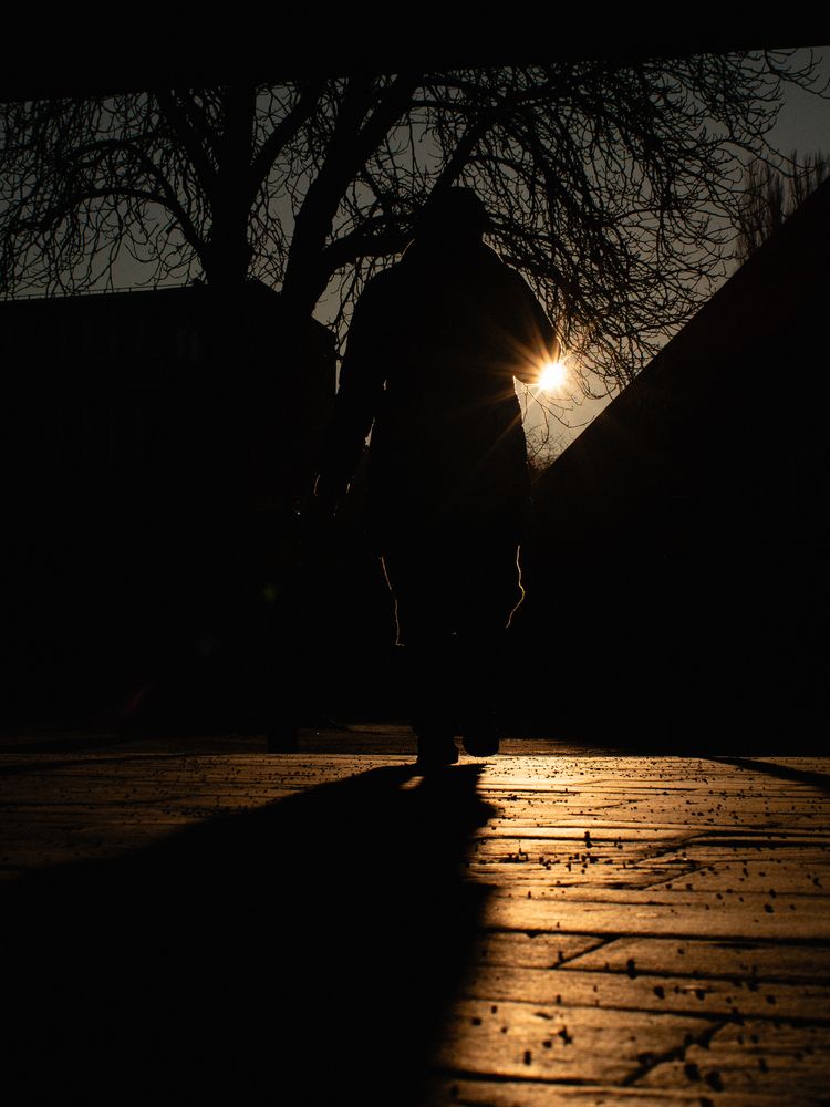 Suncut Shadows (3)