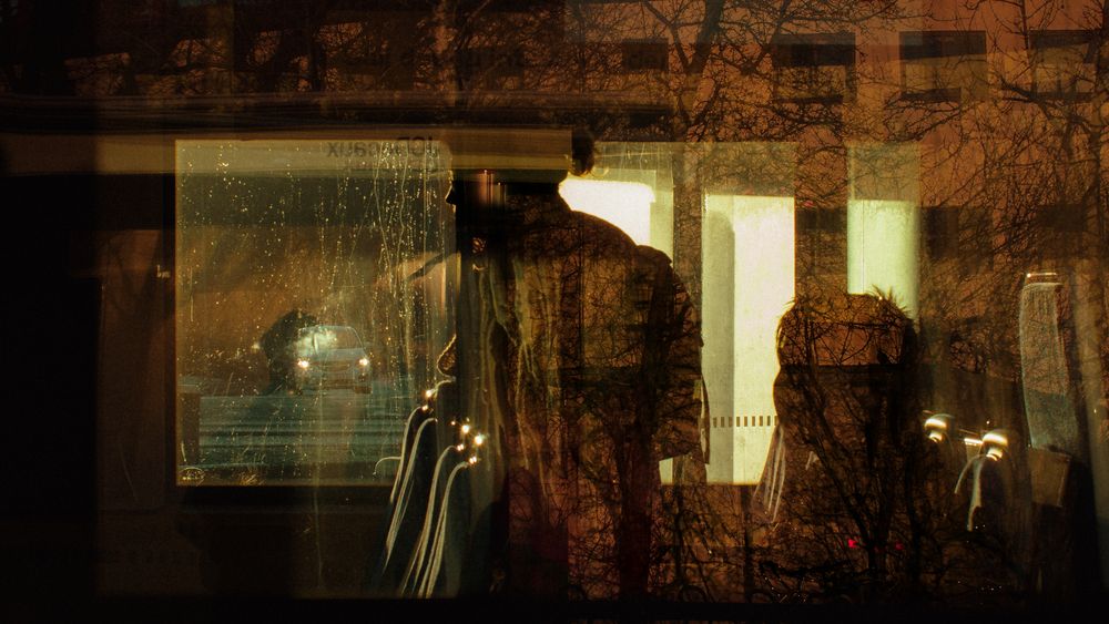 Suncut Shadows (5)
