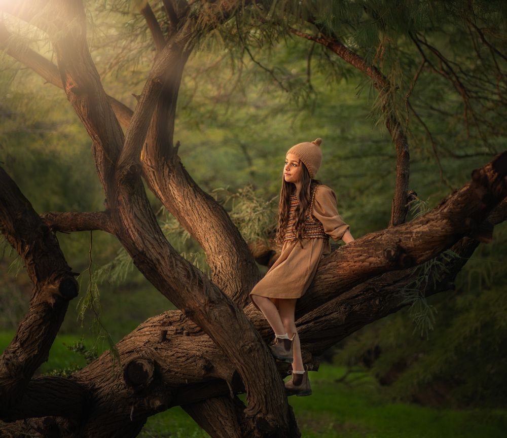 The Magic Tree (2)