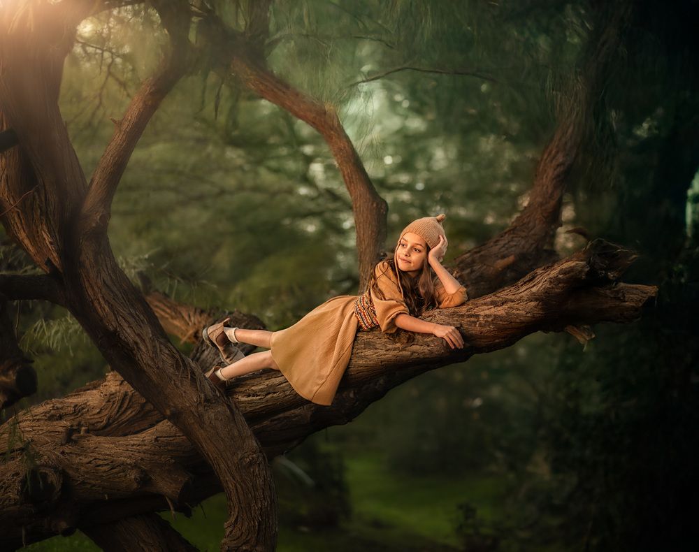 The Magic Tree (3)