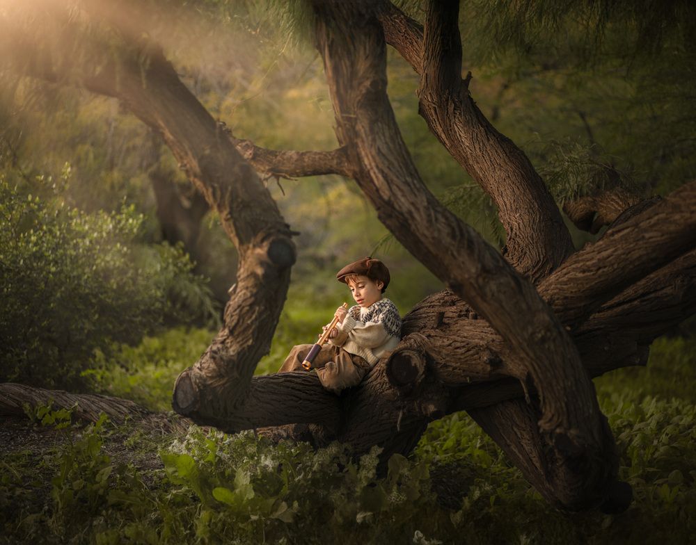 The Magic Tree (4)