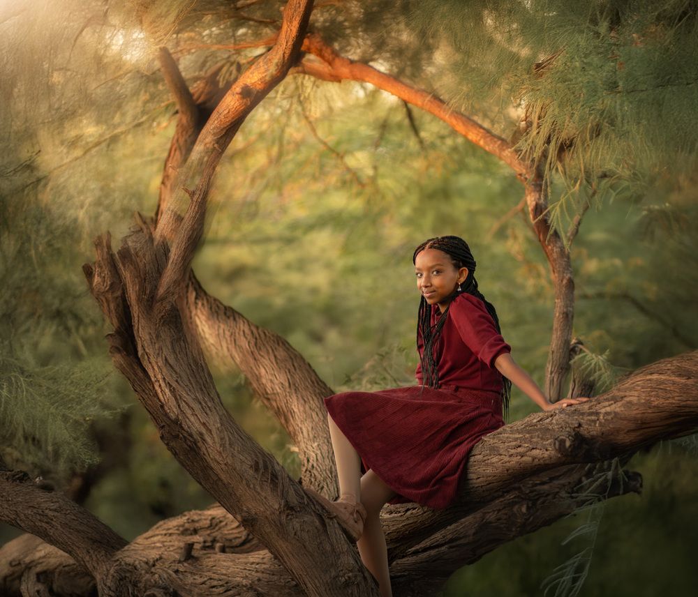 The Magic Tree (5)