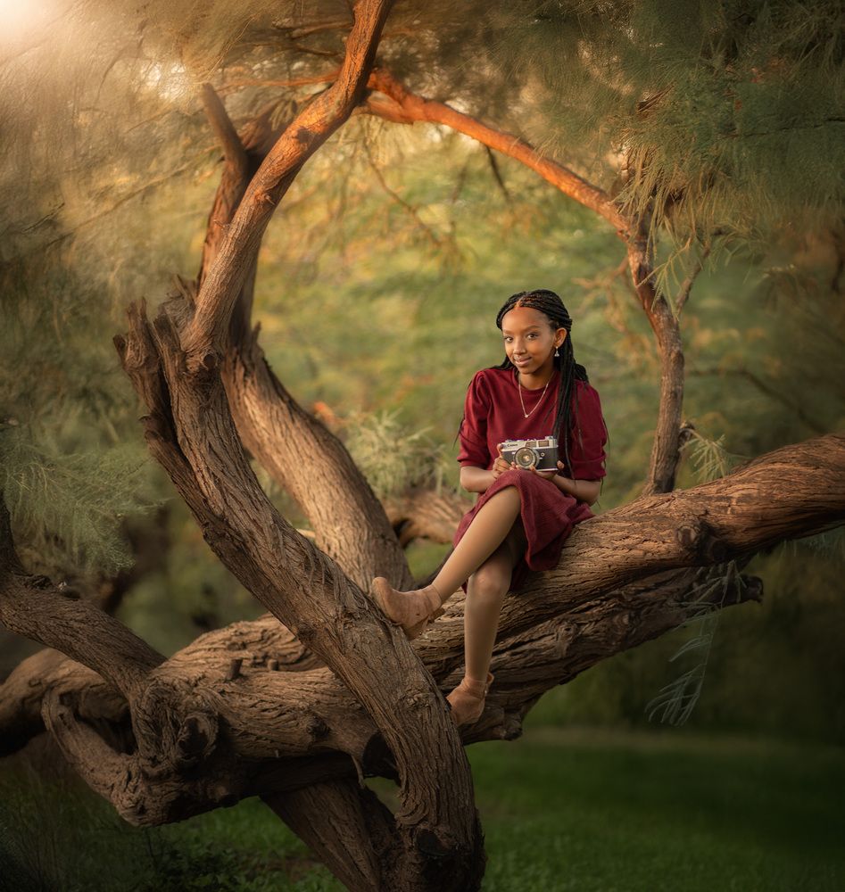 The Magic Tree (6)