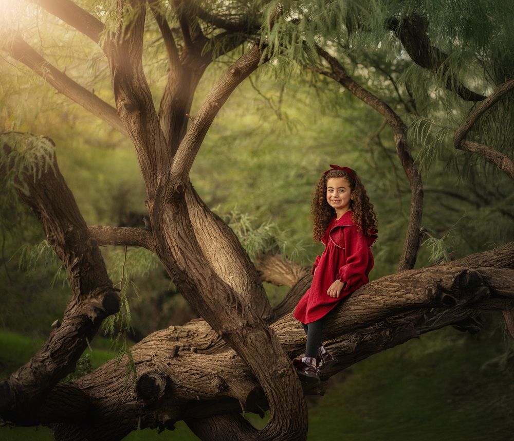 The Magic Tree (9)