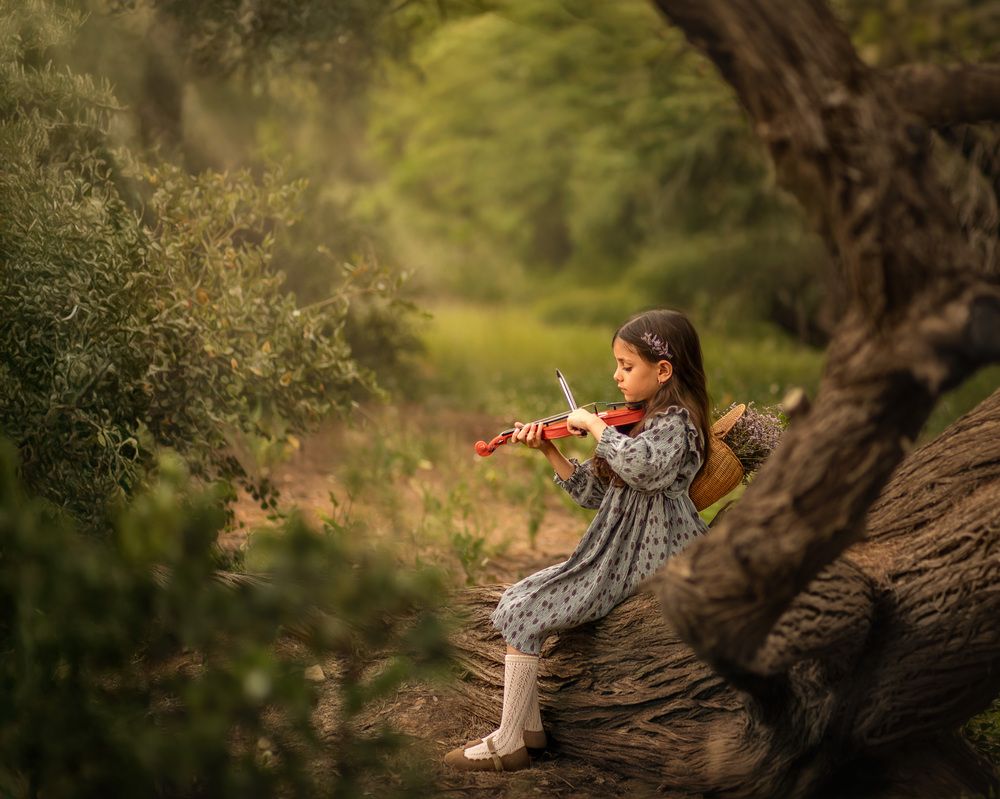 The Magic Tree (10)