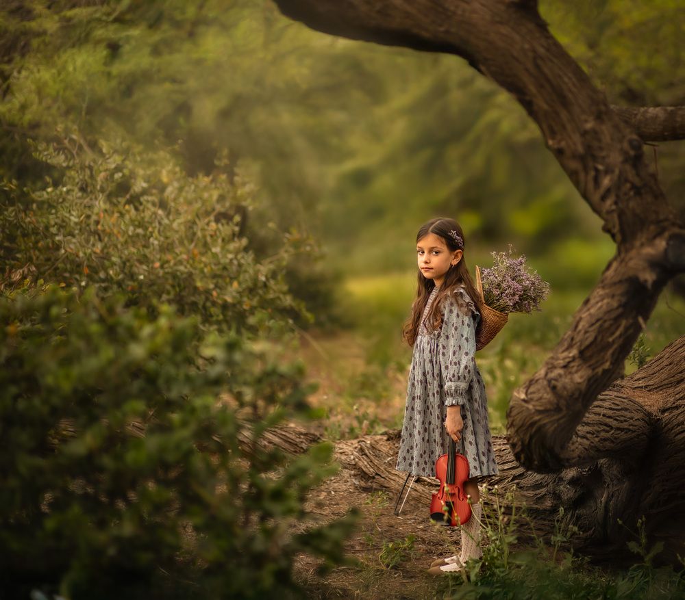 The Magic Tree (11)