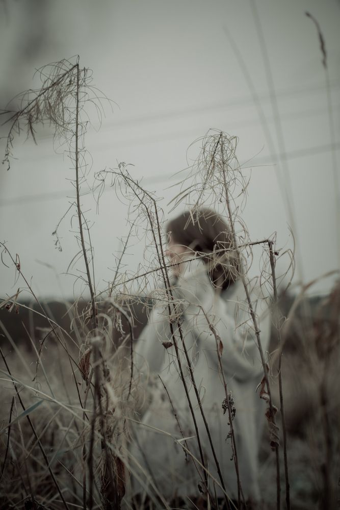 Photo #13217146 (6)