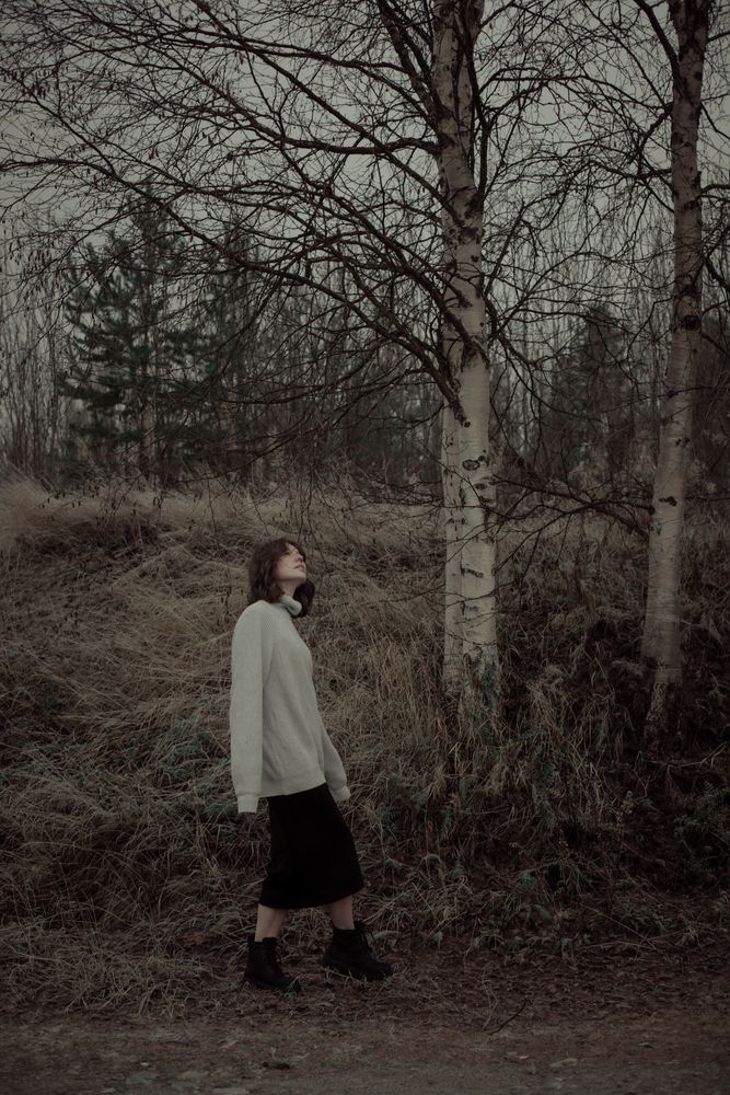 Photo #13217146 (7)