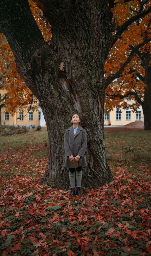 Between the Lines of Autumn (7)