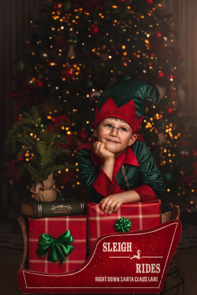 Little elf (5)