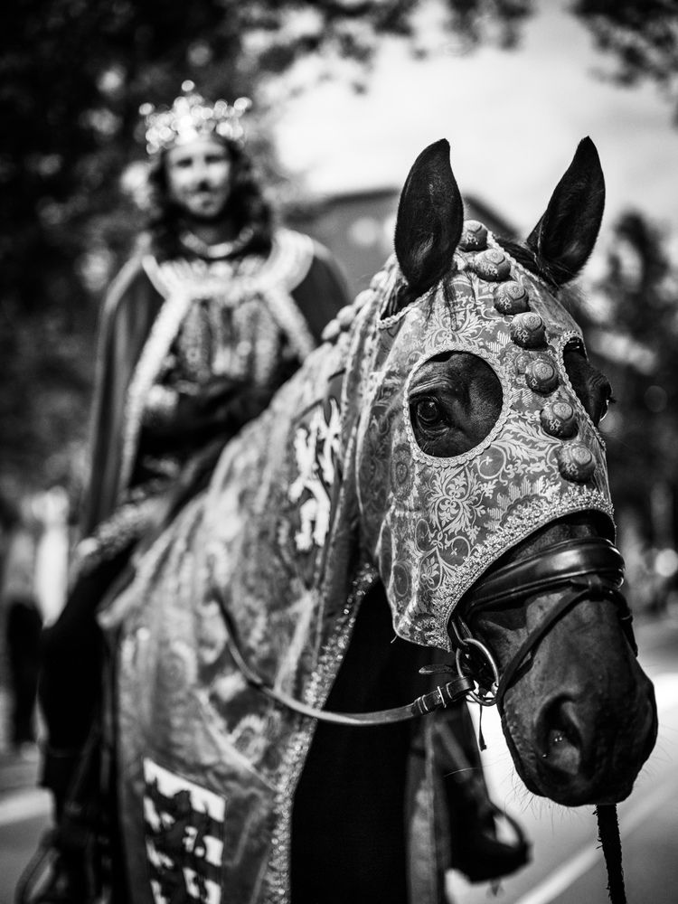 Street portraits from Znojmo (7)