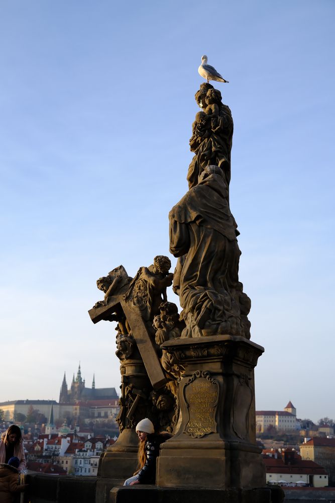 Photo #13243187 (11)