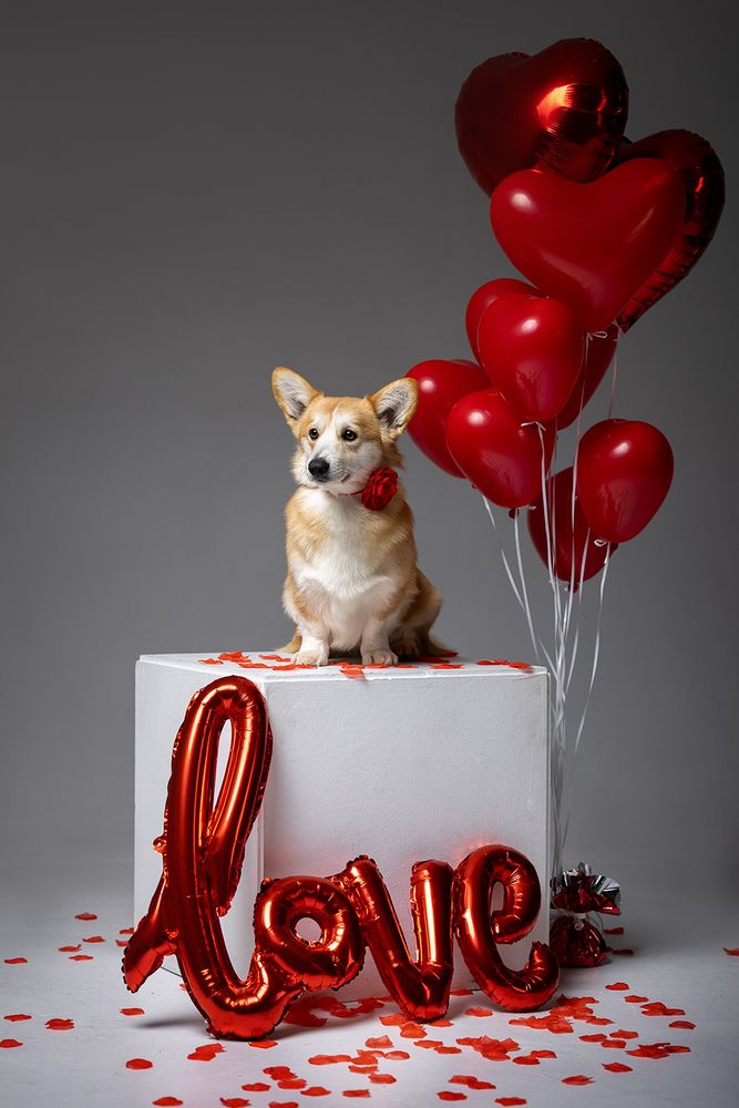 Photo #13254114 (8)