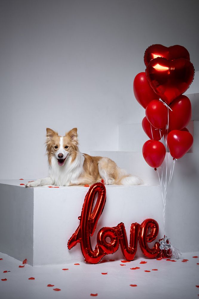 Photo #13254114 (7)