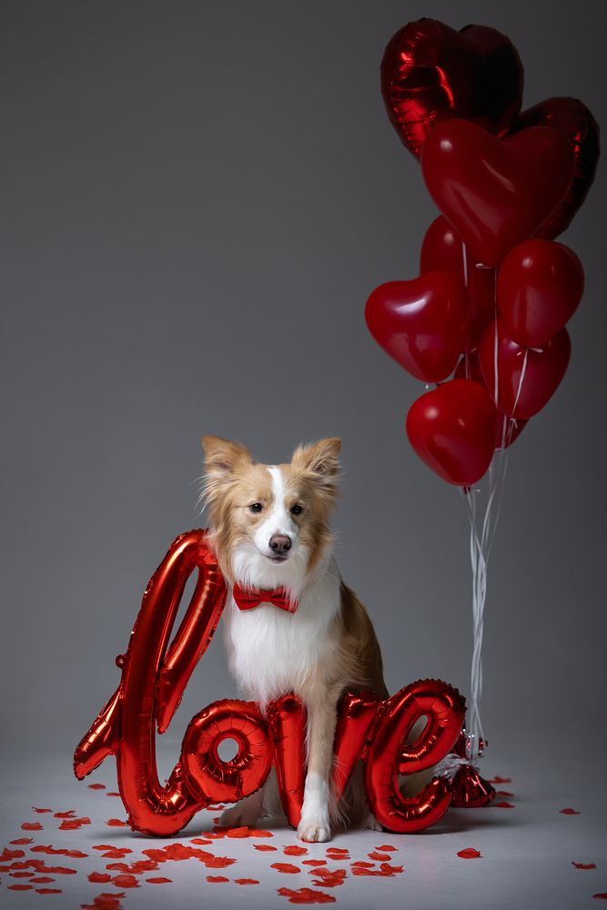Photo #13254114 (2)