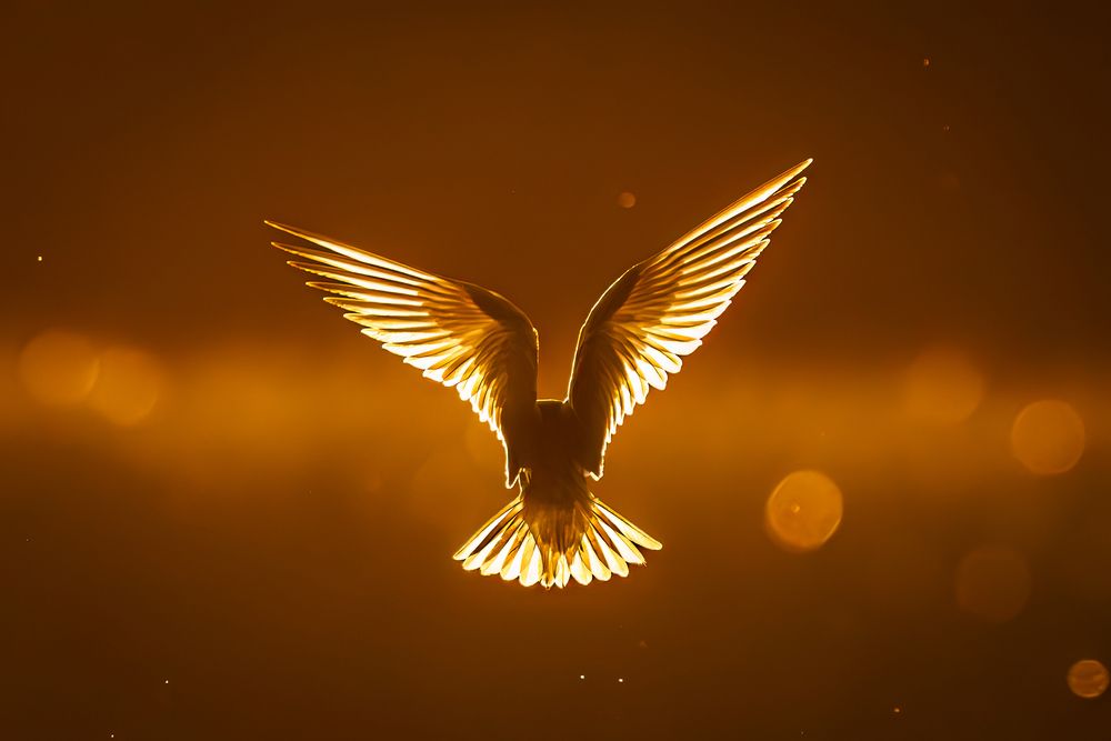 Against the light (10)