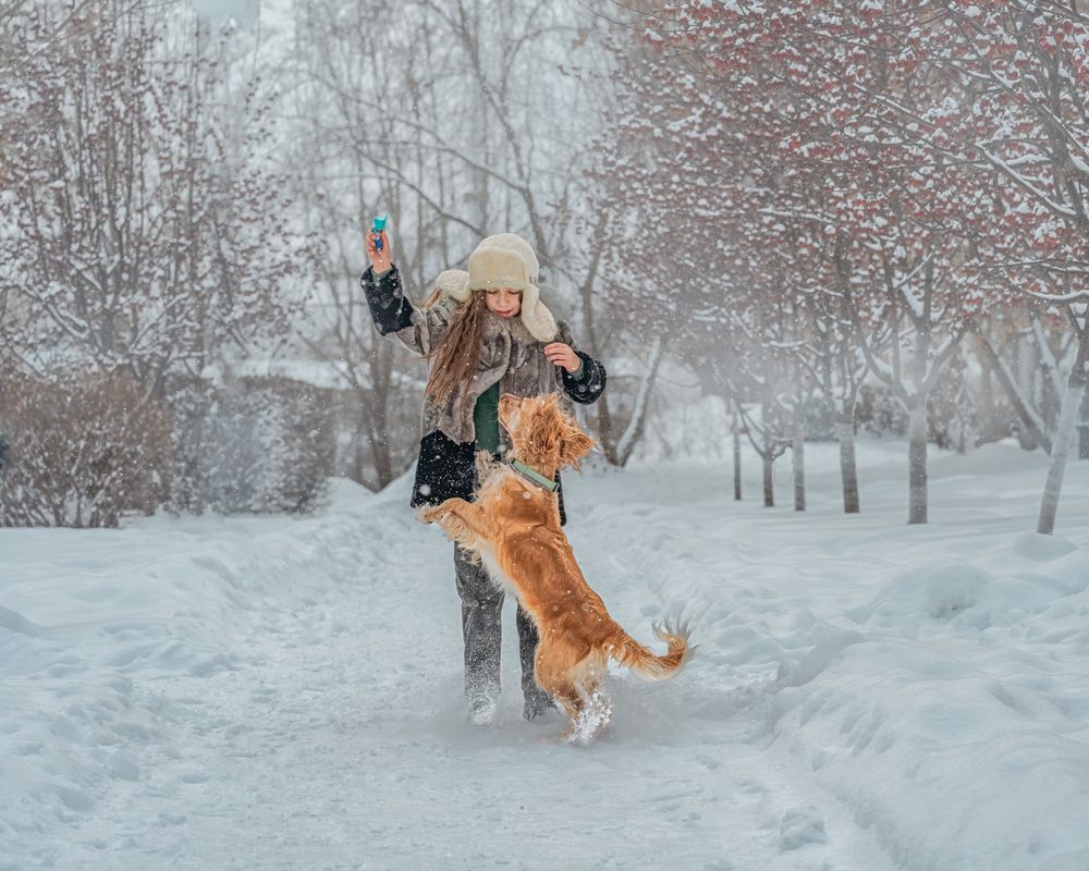 Подружки (3)