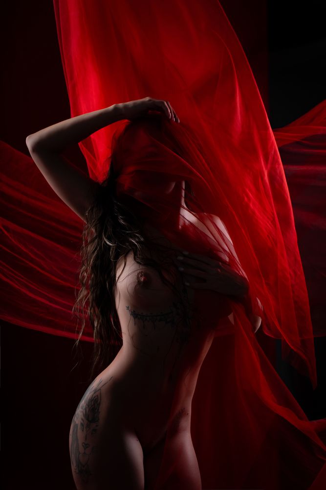 Фотография #13277724 (6)