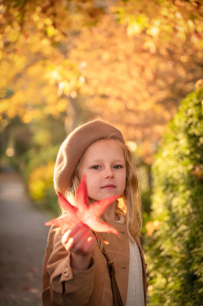 Photo #13280040 (3)