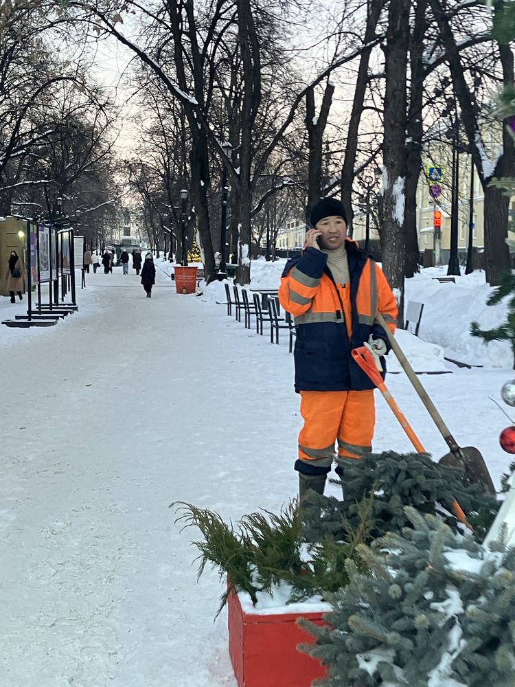Вот и праздник кончился... (6)