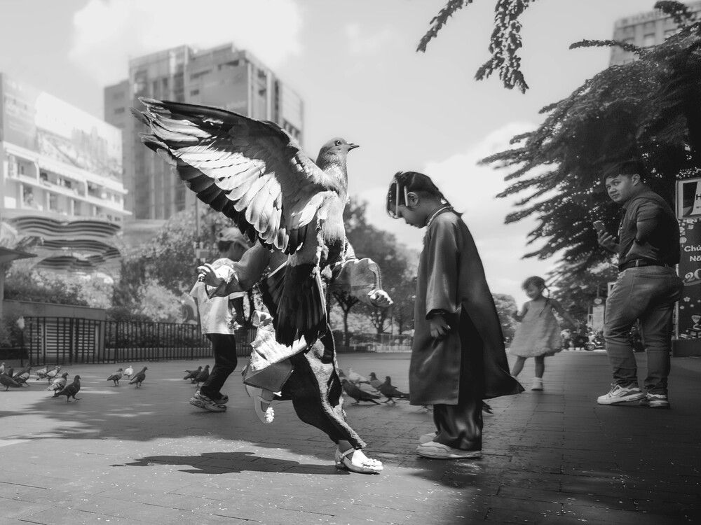 Children and pigeons (2)