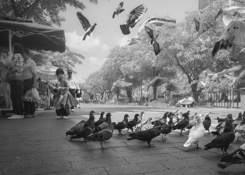 Children and pigeons (3)