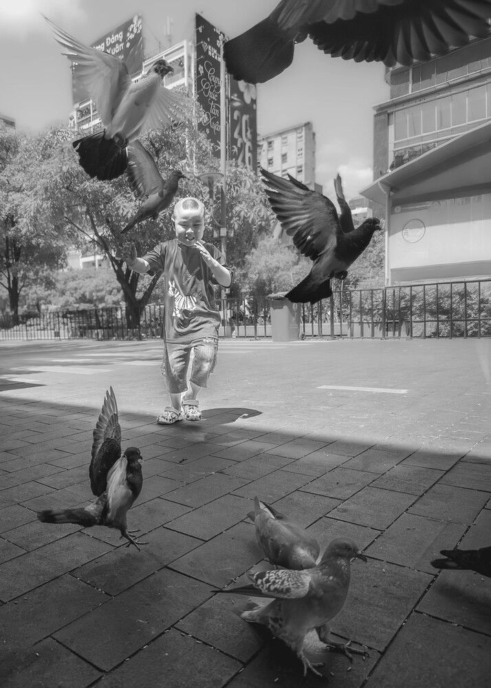 Children and pigeons (4)