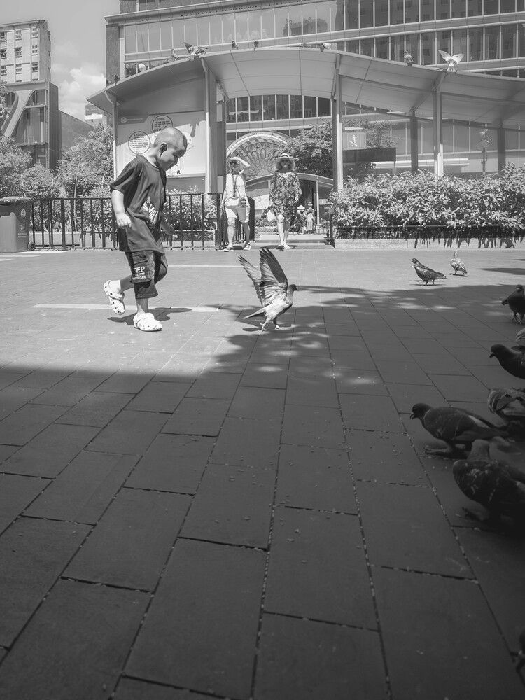 Children and pigeons (5)