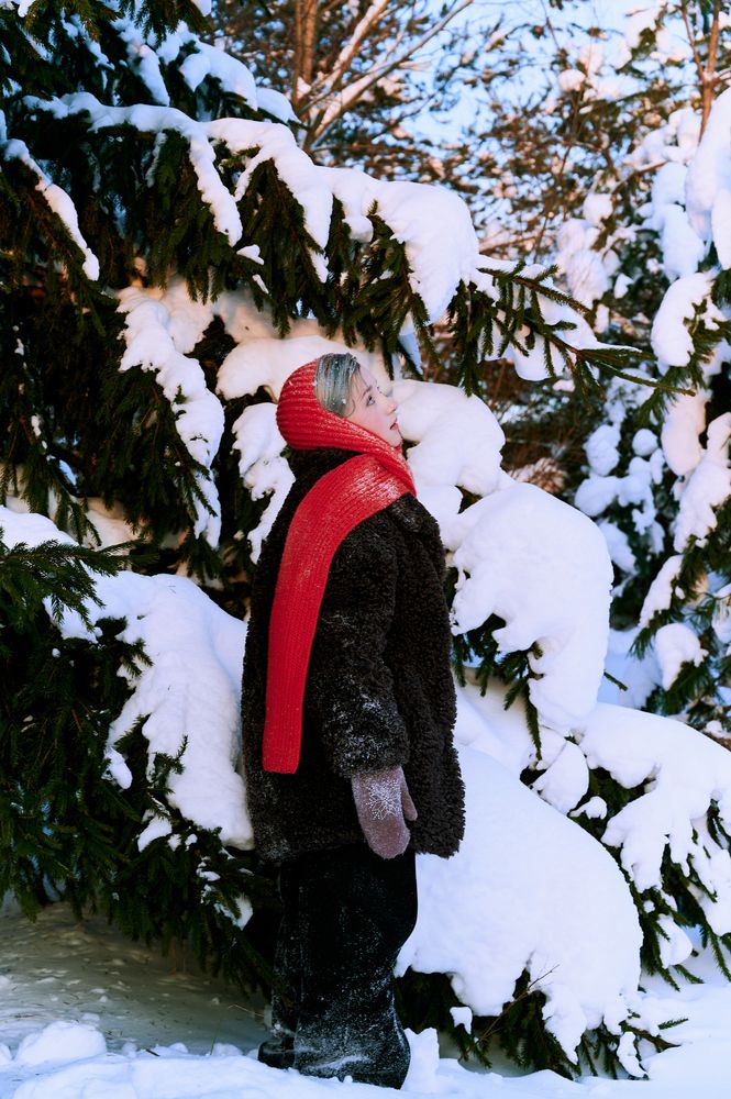 Photo #13294307 (7)