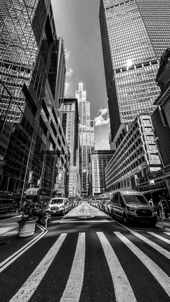 NY views (5)
